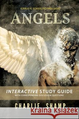 Angels Workbook: A Biblical School of Living Light Shamp, Charlie 9798711203353 Independently published