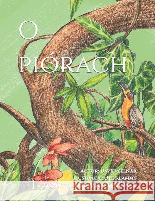 O piórach David Zelnar, Ute Klammt, Tomasz Grząślewicz 9798715961488 Independently Published