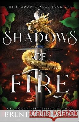 Shadows of Fire Davies Brenda K. Davies 9798724443173 Independently published