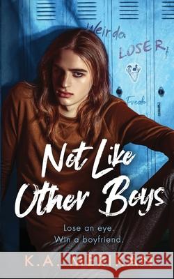 Not Like Other Boys: (M/M bully romance) K a Merikan 9798730251779
