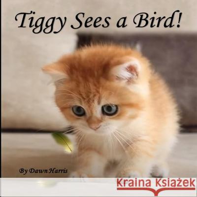 Tiggy Sees a Bird! Dawn Harris 9798737751487