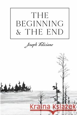 The Beginning and the End Joseph Feliciano 9798739733498