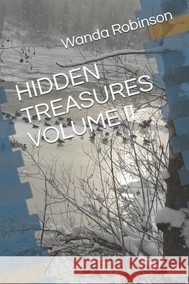 Hidden Treasures Volume II Robinson, Wanda 9798741638811