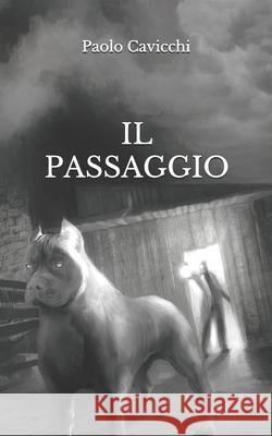 Il Passaggio Paolo Cavicchi 9798741881262 Independently Published
