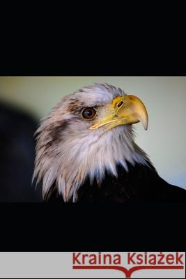 National Security Thomas Medonis 9798746721792 Independently Published