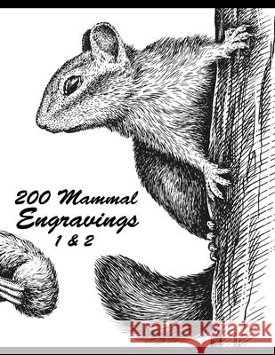 200 Mammal Engravings 1 & 2 Nick Snels 9798749347579 Independently Published