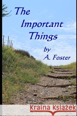 The Important Things Ann Foster Annette Foster A Foster 9798773246541 Independently Published