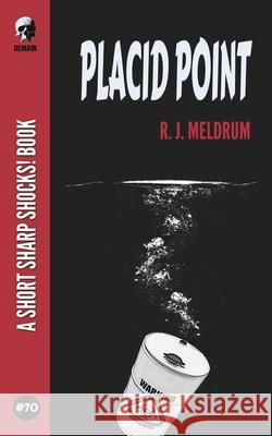 Placid Point R J Meldrum 9798774721191 Independently Published