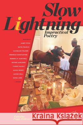 Slow Lightning: Impractical Poetry Fitch, Janet 9798786496186