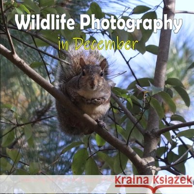 Wildlife Photography in December: Capturing the Flora and Fauna of Virginia and North Carolina Mahoney, C. 9798792452466