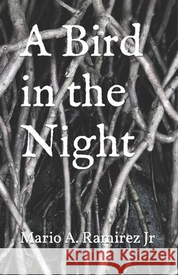 A Bird in the Night Ramirez Jr Mario A Ramirez Jr 9798795399508