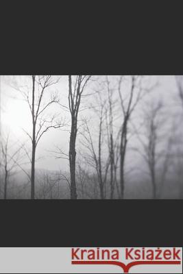 Brutal Fantasy: The Beginning Mitchell, Raine 9798798601974 Independently published