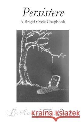 Persistere: A Brigid Cycle Chapbook Bethany a Beeler, Bethany a Beeler 9798824907971 Independently Published