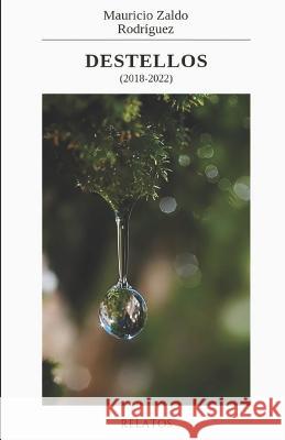 Destellos Mauricio Zaldo Rodriguez   9798837020216 Independently Published