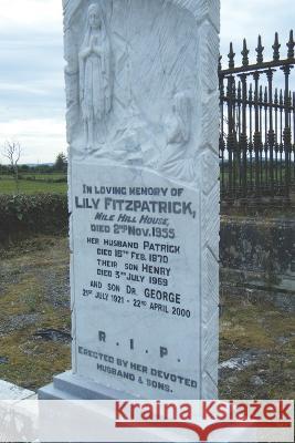 Ghost Storey: Hauntings in Life Michael Fitzalan   9798841344926 Independently Published