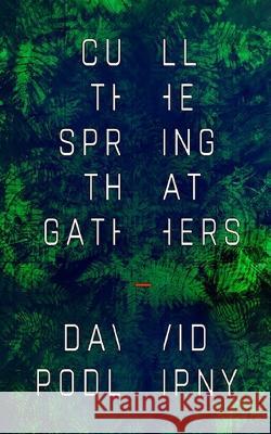 Cull the Spring That Gathers David Podlipny 9798842685929 Independently Published