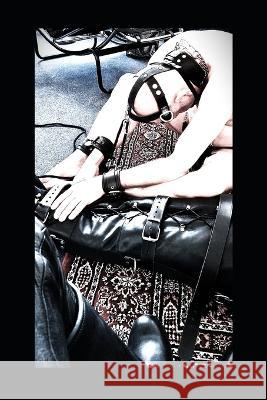 Top Down: the pisbak files part 1 Stein Subman, Steelcollar Nl 9798842707621 Independently Published