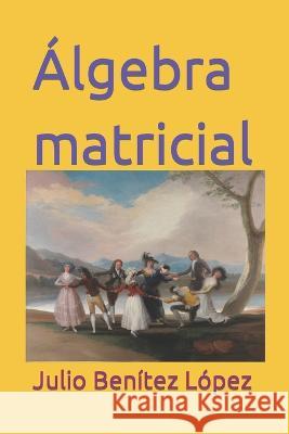 Algebra matricial Julio Benitez Lopez   9798843993467