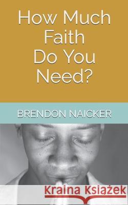 How Much Faith Do You Need? Yanshan Chen Brendon Naicker  9798852537409 Independently Published