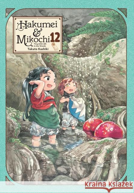 Hakumei & Mikochi: Tiny Little Life in the Woods, Vol. 12 Taylor Engel 9798855406863 Little, Brown & Company