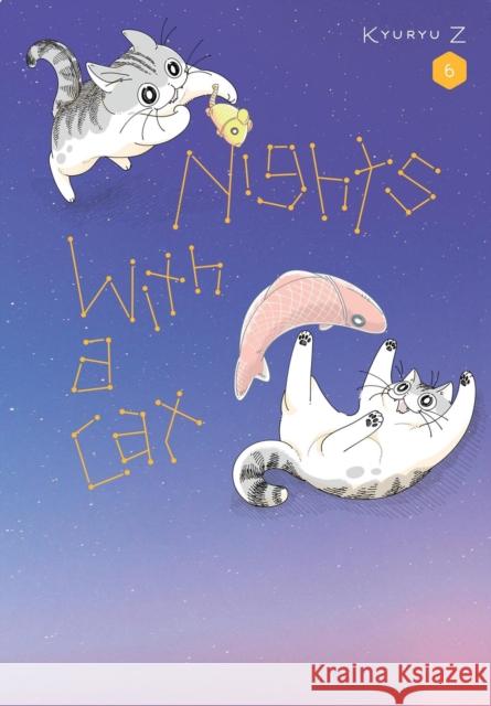 Nights with a Cat, Vol. 6 Stephen Paul 9798855414721