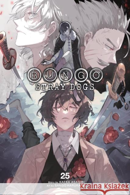 Bungo Stray Dogs, Vol. 25 Kevin Gifford 9798855415285