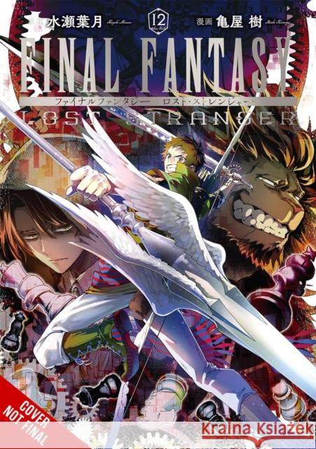 Final Fantasy Lost Stranger, Vol. 12 Melody Pan 9798855420494 Little, Brown & Company