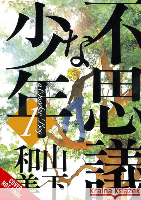 Wonder Boy, Vol. 1 Kazumi Yamashita 9798855422351