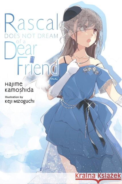 Rascal Does Not Dream of Dear Friend (Light Novel) Keji Mizoguchi 9798855422436 Yen on