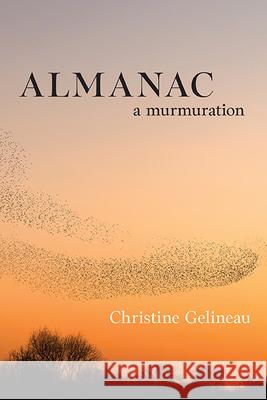 Almanac: A Murmuration Christine Gelineau 9798855801798 State University of New York Press