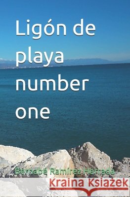 Ligón de playa number one Bernabé Ramírez Herrada 9798867558536
