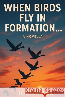When Birds Fly In Formation John Mack 9798869153456 Kitsap Publishing