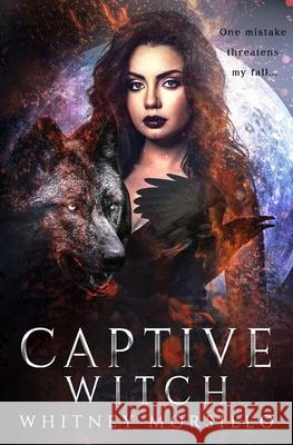 Captive Witch: A New Adult Paranormal Romance Whitney Morsillo 9798873876938