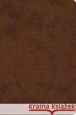 ESV Value Compact Bible  9798874902780 Crossway Books