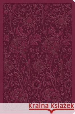 ESV Value Compact Bible  9798874902803 Crossway Books