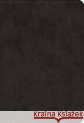 ESV Value Large Print Compact Bible  9798874903053 Crossway Books