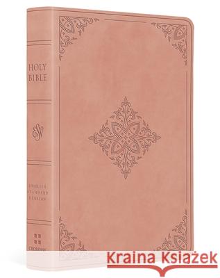 ESV Value Large Print Compact Bible  9798874903077 Crossway Books