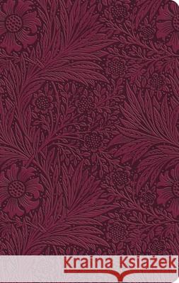 ESV Value Thinline Bible  9798874903350 Crossway Books