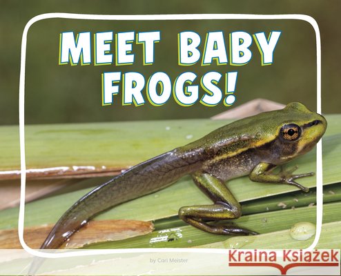 Meet Baby Frogs! Meister, Cari 9798875287862 Pebble Books