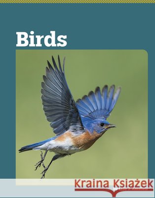Birds Amstutz, Lisa J. 9798875313547