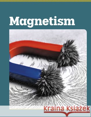 Magnetism Bolte, Mari 9798875318559 Capstone Value Library