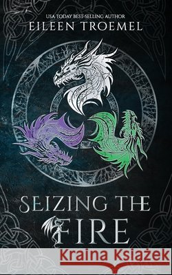 Seizing the Fire Eileen Troemel 9798878039482