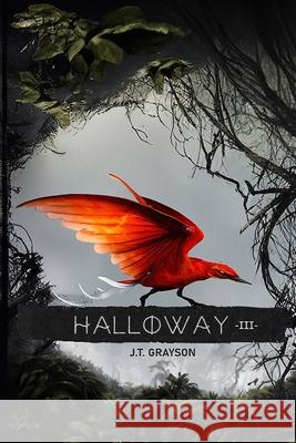 Halloway III: DiurNoctus J T Grayson 9798883162403 Independently Published