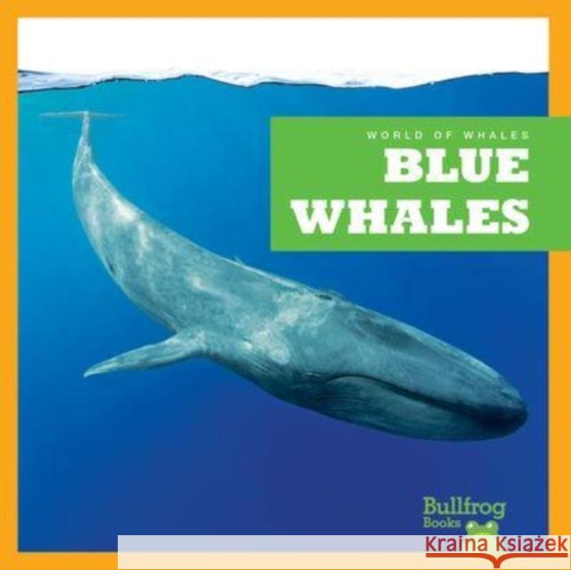 Blue Whales Eliza Leahy 9798885245890