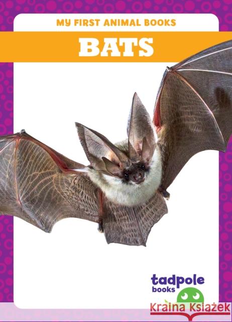 Bats Natalie Deniston 9798885246521 Tadpole Books