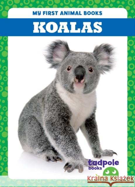 Koalas Natalie Deniston 9798885246675 Tadpole Books