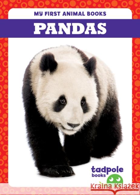 Pandas Natalie Deniston 9798885246767 Tadpole Books