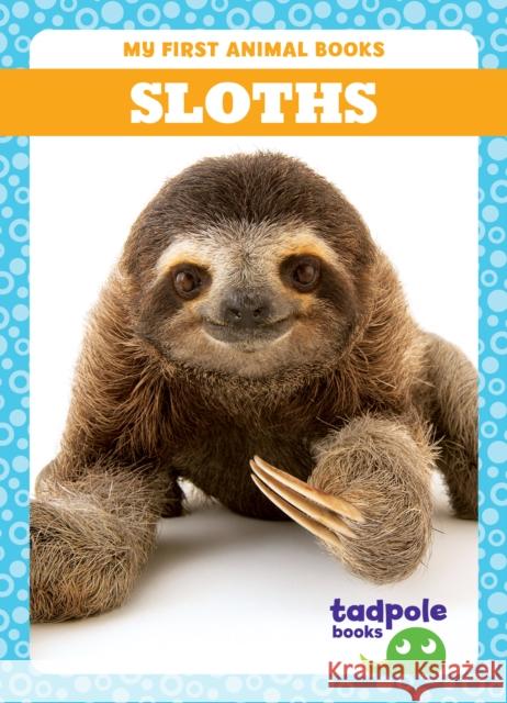 Sloths Marie Brandle 9798885246828 Tadpole Books