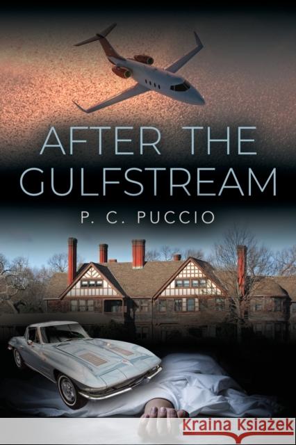 After the Gulfstream P C Puccio 9798885312103 Booklocker.com
