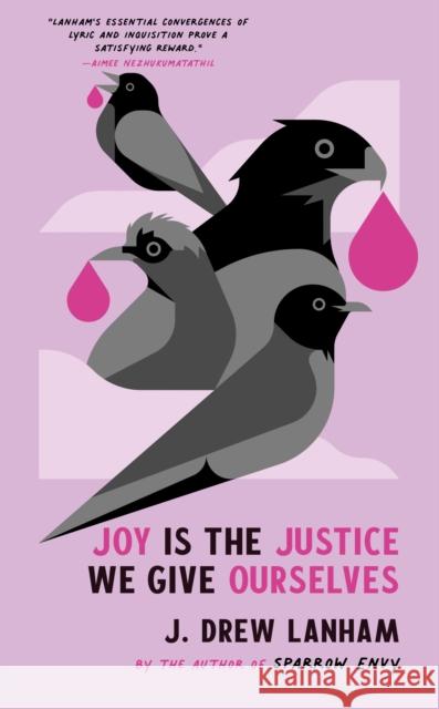 Joy is the Justice We Give Ourselves J. Drew Lanham 9798885740302 Hub City Press